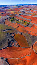 Agricultural landscape, Montana Palentina, Castille and Leon, Spain.