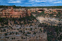 Landscape of Mesa Verde National Park UNESCO World Heritage Site, Colorado, USA. October.
