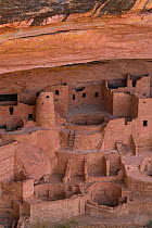 Cliff Palace, Mesa Verde National Park UNESCO World Heritage Site, Colorado, USA. October.