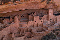 Cliff Palace, Mesa Verde National Park, UNESCO World Heritage Site, Colorado, USA. October.