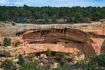 Mesa Verde National Park UNESCO World Heritage Site, Colorado, USA. October.