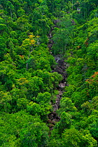 Jungle in Sun World Ba Na Hills, Danang, Vietnam.
