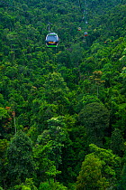Cable Car over the jungle in Sun World Ba Na Hills, Danang, Vietnam.