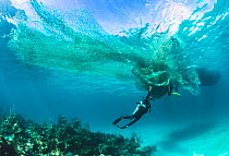 Scuba divers remove a large fishing net or ghost net from a coral reef, The Bahamas.