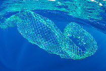 Floating, abandoned net in the ocean, Dominica, Caribbean Sea, Atlantic Ocean.