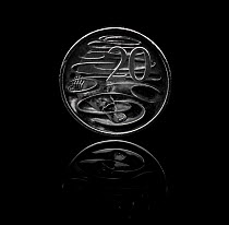 Platypus (Ornithorhynchus anatinus) on Australian 20 cent coin, black background. Coin designed and sculpted by Stuart Devlin. 2019