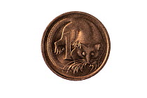 Feather tailed glider (Acrobates pygmaeus) on Australian 1 cent coin, no longer in circulation. Designed and sculpted by Stuart Devlin. 2019.