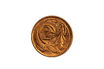 Frilled-neck lizard (Chlamydosaurus kingii) on Australian 2 cent coin, no longer in circulation. Designed and sculpted by Stuart Devlin.