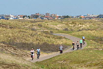 Sand dune ecosystem with cyclists on the coastal cycle path on the north coast of Holland, Netherlands, April 2018.