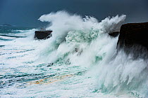 Big storm hitting cliffs, with waves breaking over the top, Shetland, Scotland, UK, July.