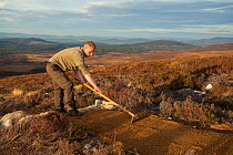 Repair to footpath damage caused by erosion, Cairngorms National Park, Scotland, UK.November