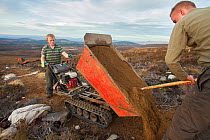 Repair to footpath damage caused by erosion, Cairngorms National Park, Scotland, UK.November