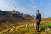 Pilot flying DJI Phantom drone over Blaven, Isle of Skye, Scotland, UK, September.