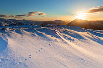 Mountain hare footprints in snow on mountain top in Glen Coe, Lochaber, Scotland, UK.February