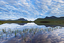 Coigach hills (Cul Mor and Cul Beag) reflected in loch at dawn, Coigach and Assynt Living Landscape, Scotland, UK.July