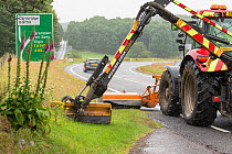 Highway maintainance mowing roadside verge, destroying grassland flowers and plants, A95 near Aviemore, Cairngorms National Park, Scotland, UK, July. July 2016.