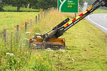 Highway maintainance mowing roadside verge, destroying grassland flowers and plants, A95 near Aviemore, Cairngorms National Park, Scotland, UK. July 2016.
