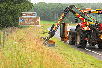 Highway maintainance mowing roadside verge, destroying grassland flowers and plants, A95 near Aviemore, Cairngorms National Park, Scotland, UK, July. July 2016.