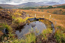 Pool created alongside upland access track to capture water run-off from drainage pipe, Glen Affric, Scotland, UK, October 2017.