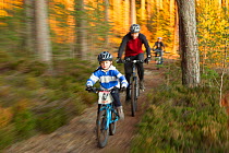 Family mountain biking through forest, Cairngorms National Park, Scotland, UK, November 2011.