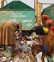 People picking through rubbish from newly arrived skips on landfill site. Guwahati, Assam, India. 2009.