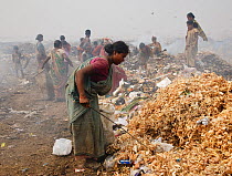 Woman sorting through rubbish on landfill site, many other people in background. Guwahati, Assam, India. 2009.