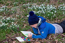 Boy painting snowdrops, Suffolk, England, UK, 2019. Model released.