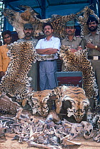 Indian policeman with a haul of Tiger, Leopard and Deer skins and bones confiscated from poachers near Kanha National Park, Central India. 1989.