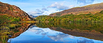 Reflections in Llyn Dinas in the Nant Gwynant valley near Beddgelert looking west with Moel Hebog in the background, Snowdonia National Park, North Wales, UK, October.