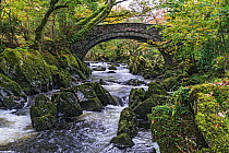 Bridge over River Lledr near Betws-y-Coed, Snowdonia National Park North Wales, UK, October 2018.