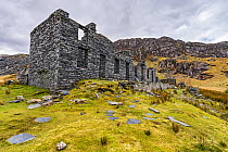 Cwmorthin slate mine showing the remains of terraced cottages for the families of the workers near Tanygrisiau and Blaenau Festiniog. North Wales, UK, February 2018.