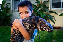 Five year old boy holding his pet Argentine black and white tegu (Salvator merianae) &#39;Rock&#39; on his shoulder. Rock was wild caught as a yearling in Florida, however this species is invasive in...