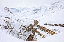 Sudong canyon near Kibber, in Spiti Valley, Cold Desert Biosphere Reserve, Himalaya, Himachal Pradesh, India, March