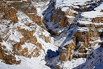 Cliffs with snow in Badam canyon near Kibber in Spiti Valley, Cold Desert Biosphere Reserve, Himalaya, Himachal Pradesh, India, March