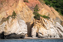 View of gypsum cliffs near Cape Dauphin, Nova Scotia, Canada. July.
