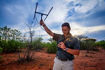 Researcher Francois Meyer uses radio telemetry to search for an adult Temminck&#39;s ground pangolin (Smutsia temminckii) that had been released back into the wild following its rehabilitation and rescue from poachers in Limpopo Province, South Africa.