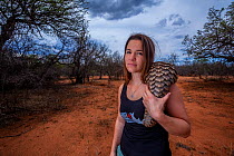 Vet carrying an orphaned Temminck&#39;s ground pangolin (Smutsia temminckii) on an evening forage to teach the young animal to find ants during its rehabilitation at the Rhino Revolution facility in S...