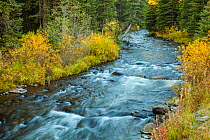 Water flowing out of the Hyalite Resevoir, Hyalite Creek, Gallatin National Forest, Bozeman, Montana, USA. September.