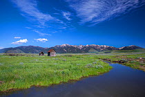 Landscape of Madison Mountain Range, Beaverhead National Forest, Montana, USA, July 2011.