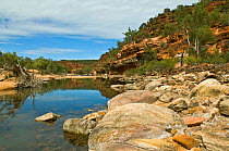 Murchison River Gorge, Kalbarri National Park, north west, Western Australia, December 2011