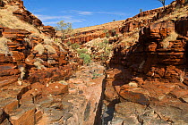 George Gorge, Millstream Chichester National Park, north west Pilbara, Western Australia, May 2010