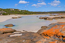 Jorndee Creek - Cape Arid National Park, South west, Western Australia, October 2010