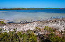 Lake Jasper, biggest freshwater lake in southern Western Australia, D&#39;Entrecasteaux National Park, south west, Western Australia, February 2016