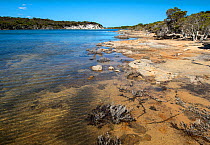 St. Mary&#39;s Inlet, Fitzgerald River National Park World Heritage Site, South west, Western Australia, November 2016