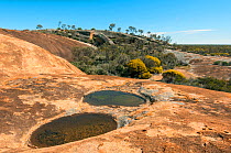 Banks Rock - granite outcrop in the Great Western Woodlands, Western Australia, September 2016