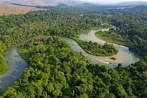 Meanders of Mpassa river surrounded by rainforest, savanna beyond. Location of Western lowland gorilla (Gorilla gorilla gorilla) reintroductions through Gorilla Protection Project. Bateke Plateau Nati...