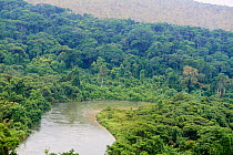 Mpassa river and Bateke Plateau National Park, aerial view. Site for reintroduction of two female Western lowland gorilla (Gorilla gorilla gorilla) from Beauval zoo through Gorilla Protection Project....
