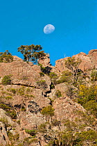 Moon over sandstone rock cliff. Grampians National Park, Victoria, Australia. December 2016.