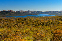 Woodland leading down to Moora Moora Reservoir, sandstone mountain ranges in background. Grampians National Park, Victoria, Australia. December 2016.