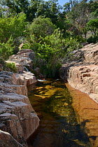 Freshwater pool in mountain stream, amongst rocks. Mount Ferru, Coccorrocci, Ogliastra, Sardinia. June 2018.